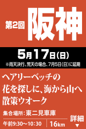 第2回阪神 5/17(日) 