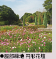 服部緑地 円形花壇