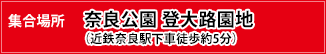 集合場所：奈良公園 登大路園地（近鉄奈良駅下車徒歩約5分）