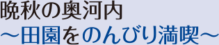 晩秋の奥河内～田園をのんびり満喫～